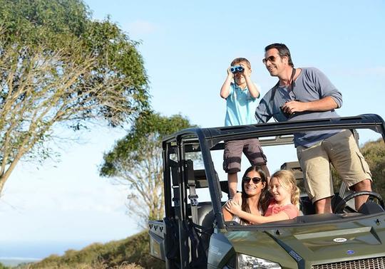 Captivating Mauritius Family Package Image