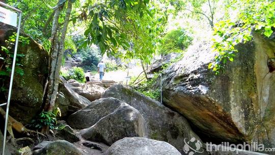 Edakkal Caves Tour Image