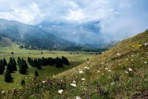 Trip to Ile-Alatau National Park, Kazakhstan