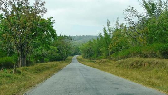 Masinagudi Jeep Safari Image