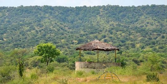 Nahargarh Biological Park Jaipur Day Out Image
