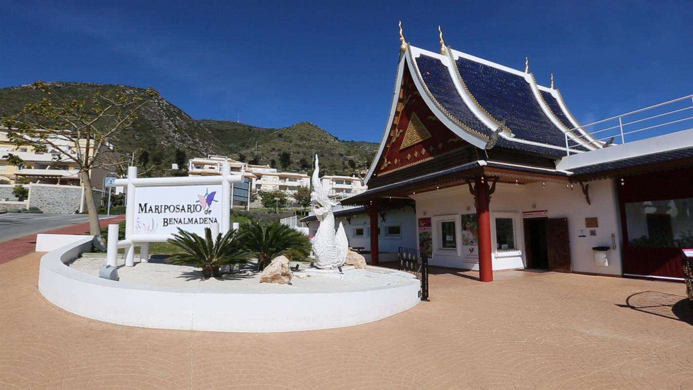 Visit Mariposario de Benalmádena (Butterfly Park) and see over 1500 butterflies