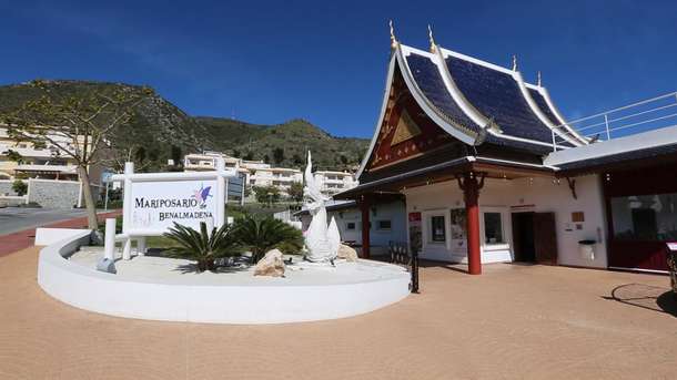 Visit Mariposario de Benalmádena (Butterfly Park) and see over 1500 butterflies
