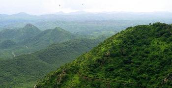 55wma3awoj74x4407k6dcw7mblju sajjangarh wildlife sanctuary