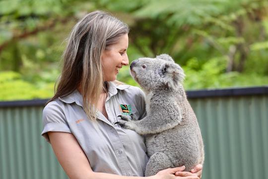 Australian Reptile Park Tickets Image