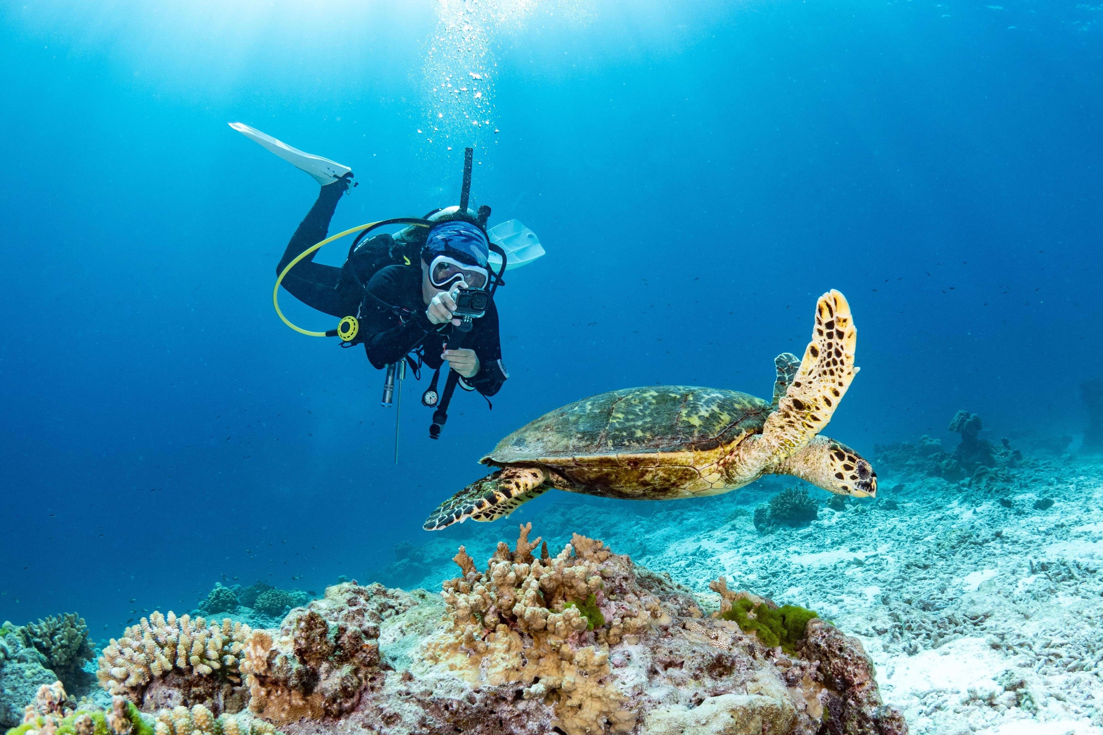 Scuba Diving in Pondicherry with Free Videography