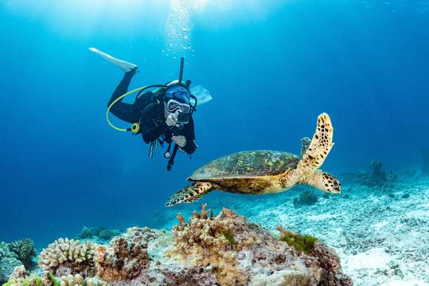 57rk6mmjeguzm0qmo1cpguo7c3zv meie7tuz1zqsvs5j7wspf3cfp9f9 shutterstock 2303138149%20(1)