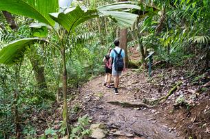 Copolia Trail in Mahe Island