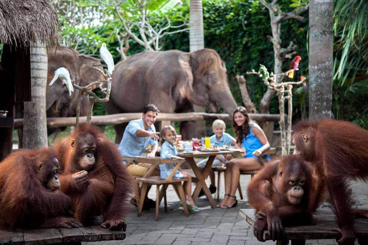 Bali Zoo Tickets Image
