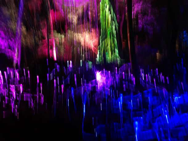 5a24ejay1nn2musoymb560dz6yom dream%20forest,%20langkawi%202