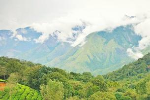 5aeg6iiftq2co7ihl4u8lrbszzlf e4