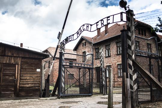 Auschwitz-Birkenau Museum Tour Image
