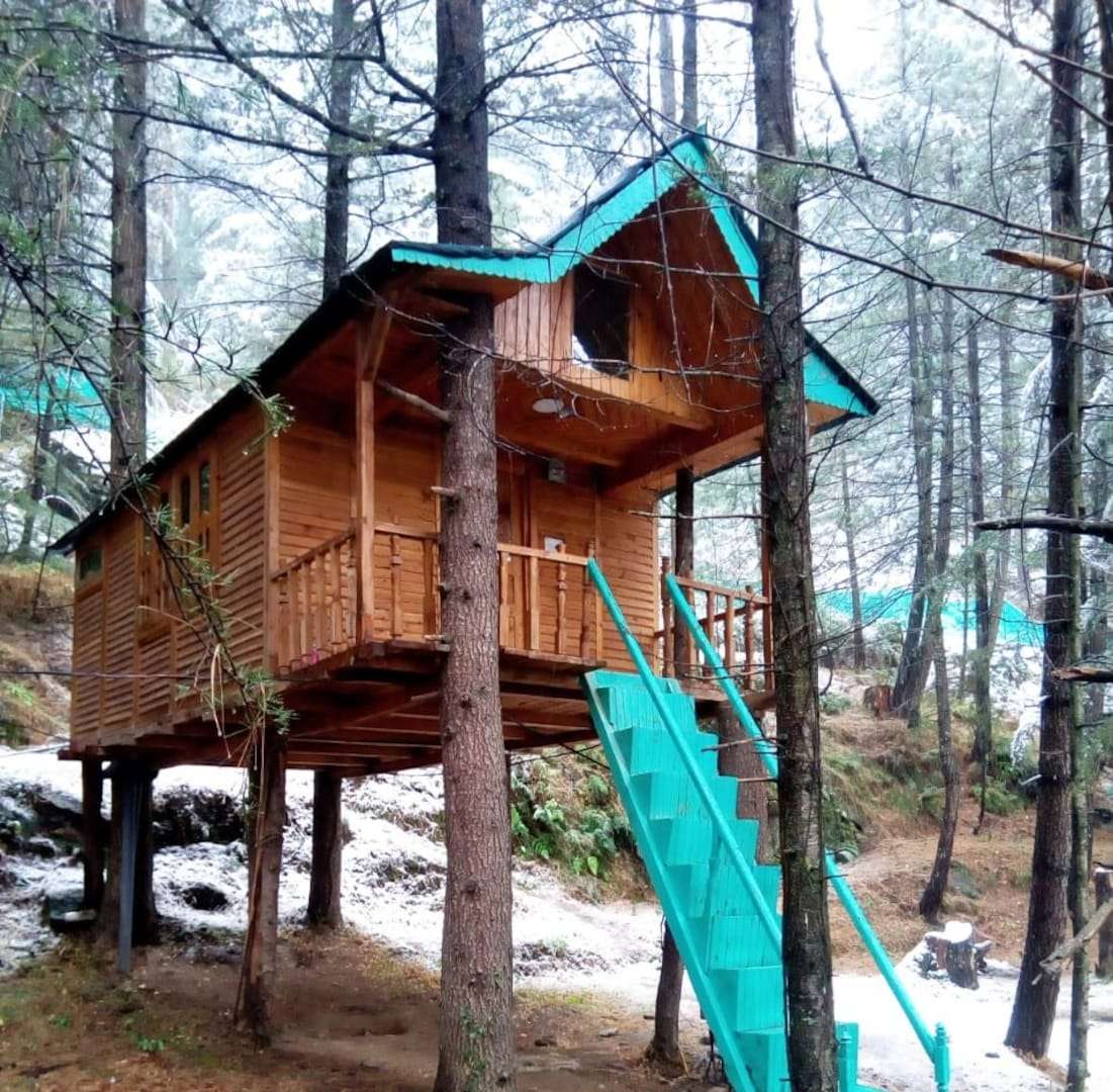 An Adventurous Tree House Near Shimla Image