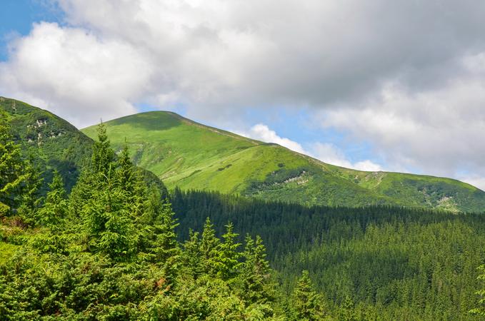 Hoverla Mountain