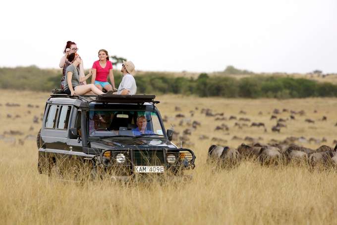 Enthralling Game Drive at Kwantu National Park