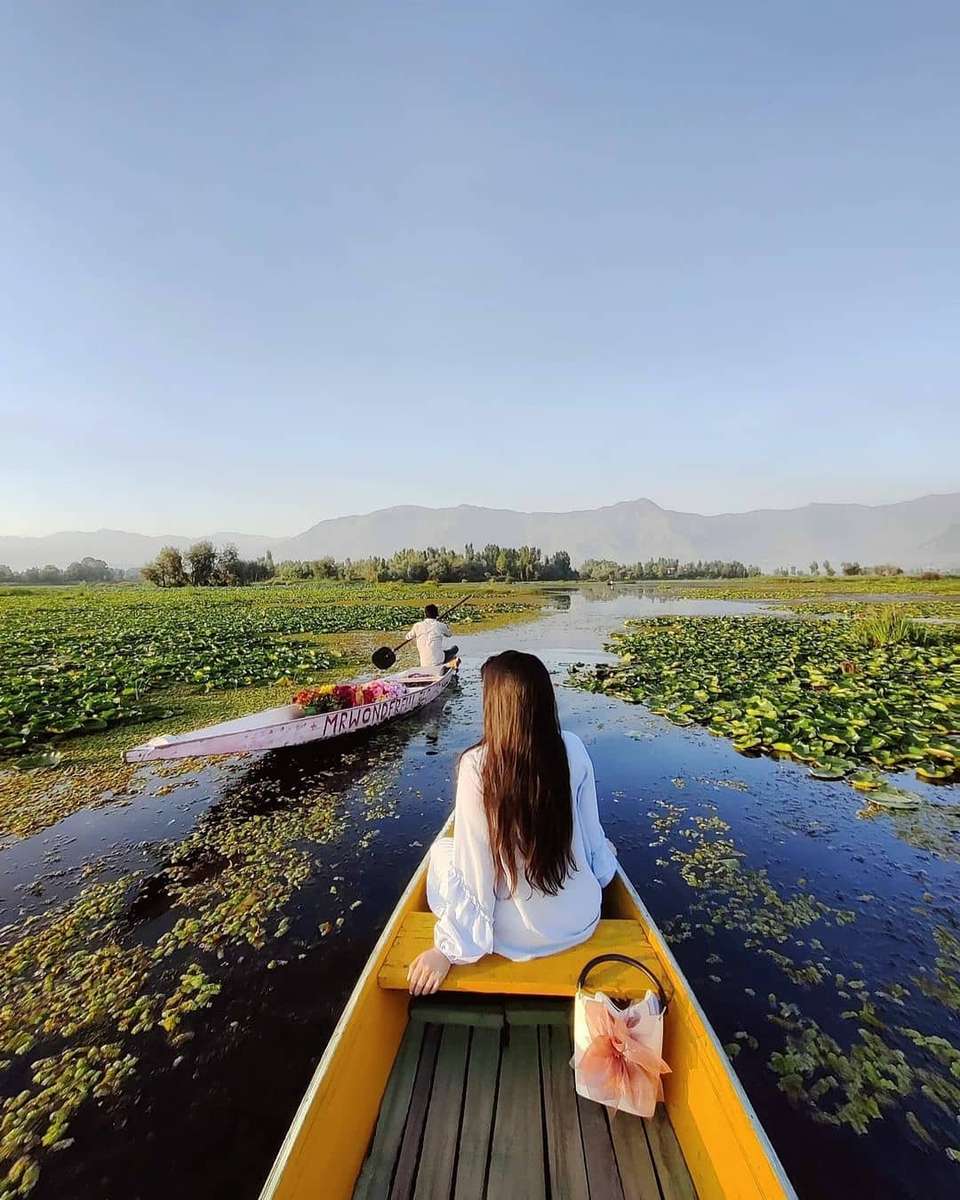 Serene Family Tour Package in Srinagar Image