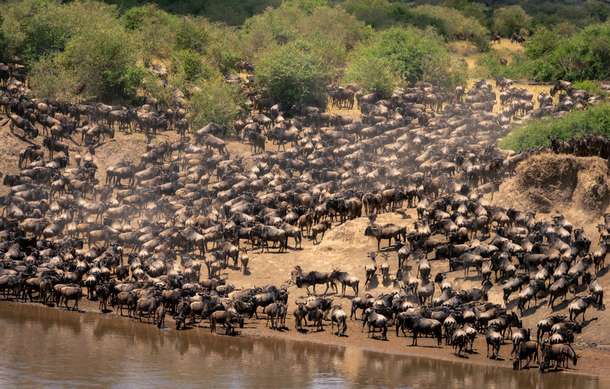 5fvnk2qyhnfbbuk1nrge6zk6jynu kenya%20tour%20gallery 4