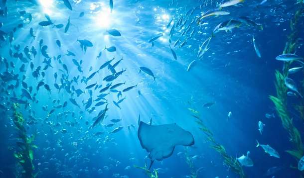 5gchfhbxyhzacwybvug40qq0wdbh 1597352276 111