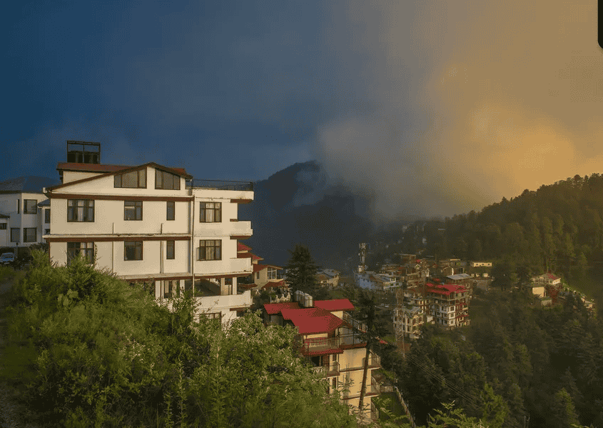 A Serene Homestay Amidst Pine Trees in Shimla