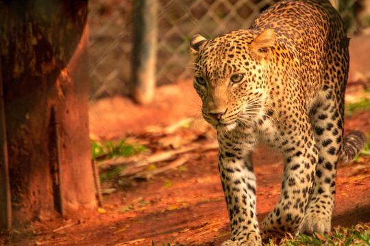 One Day Trip to Trivandrum from Kovalam Image