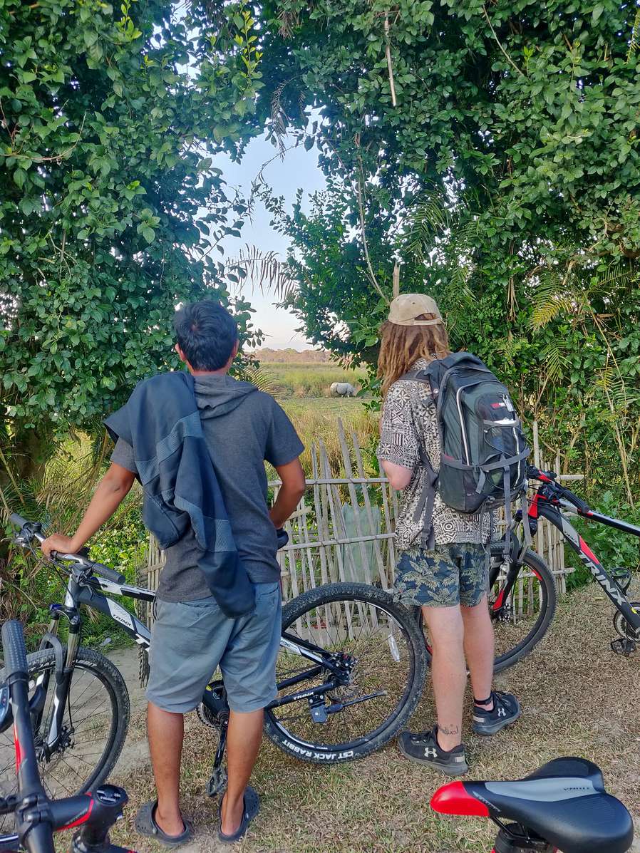 Kaziranga Full Day Cycling Tour Image