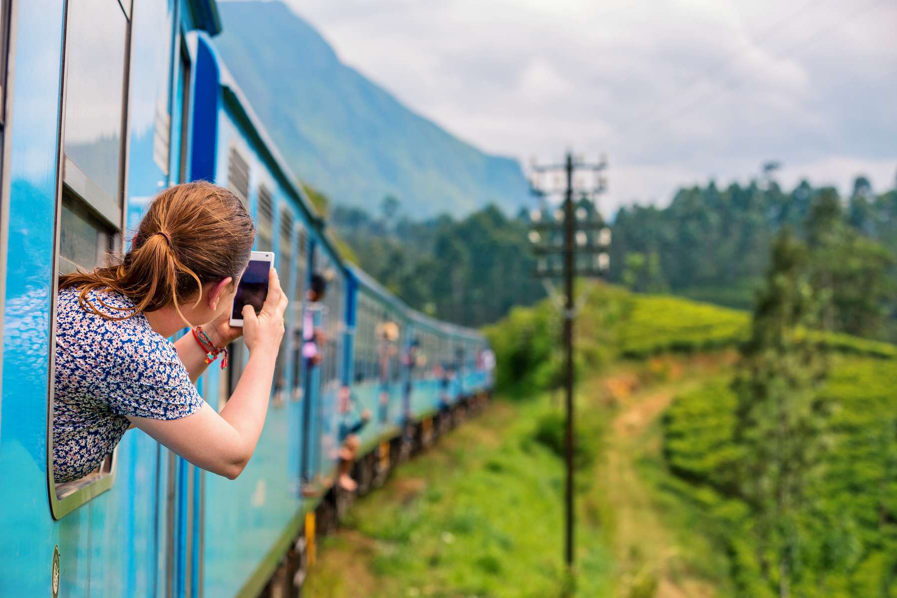 Colombo to Nuwara Eliya Tour Image