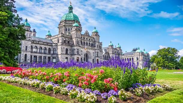 5l715211wfejlh7wzxbx3rdtdzyb 1594390475 shutterstock 377173666