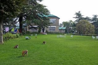 5lbtrjdt8r7m28unp2zdi8axoiml 1466519065 6207211394 f17c7684d9 b