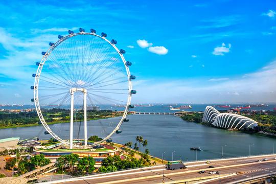 Singapore Adventure | Wildlife Encounters & Sightseeing Image