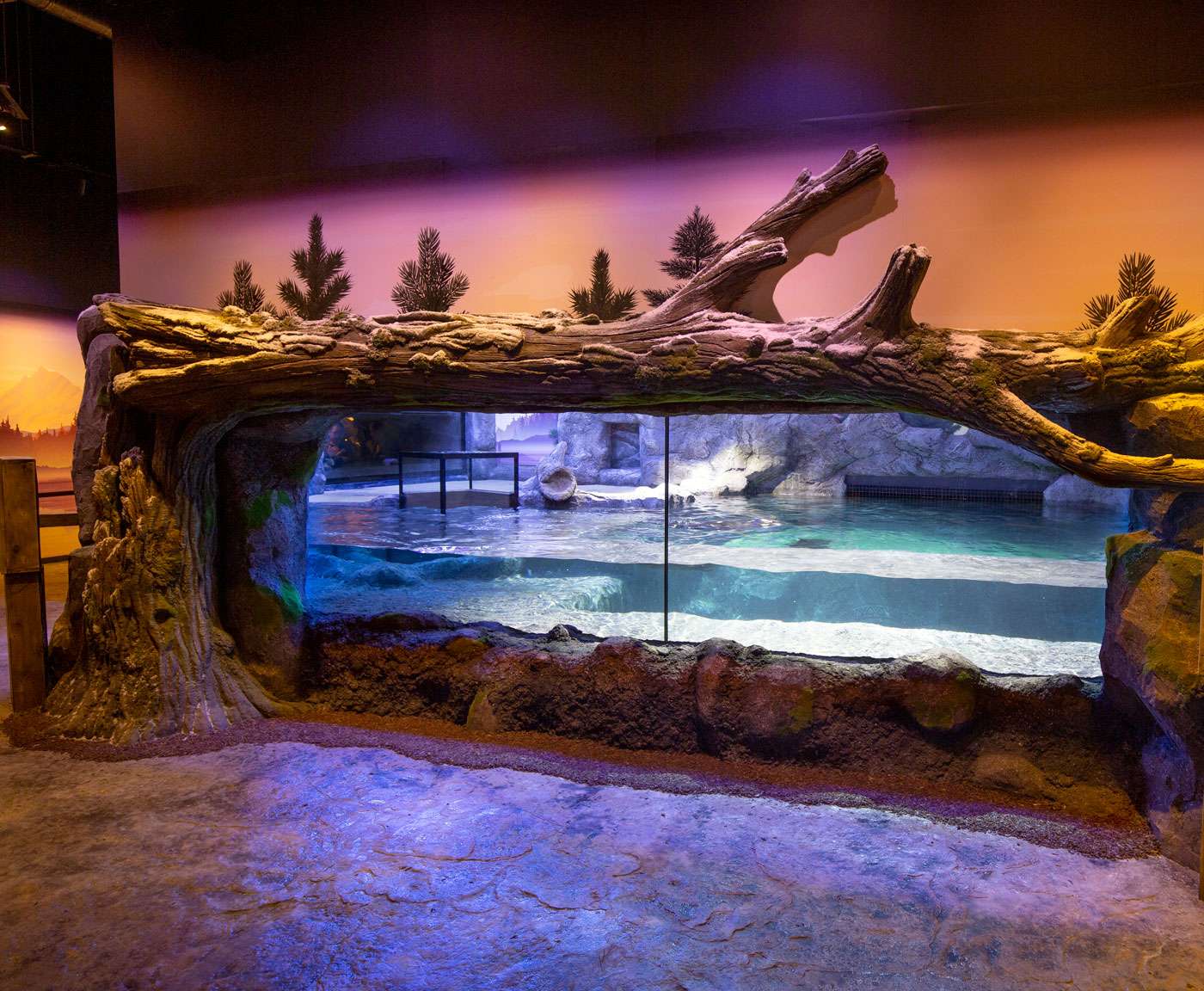 National SEA LIFE Centre Tickets Image