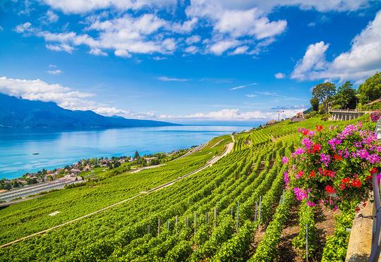 2-Hour Riviera Cruise from Montreux Image