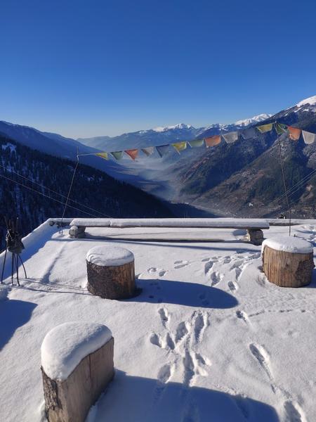 Camping in Sethan Manali Image