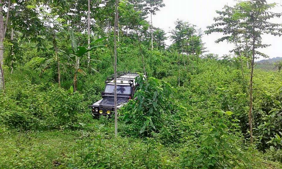 West Bali Land Cruise On A 4 Wheel Drive Image