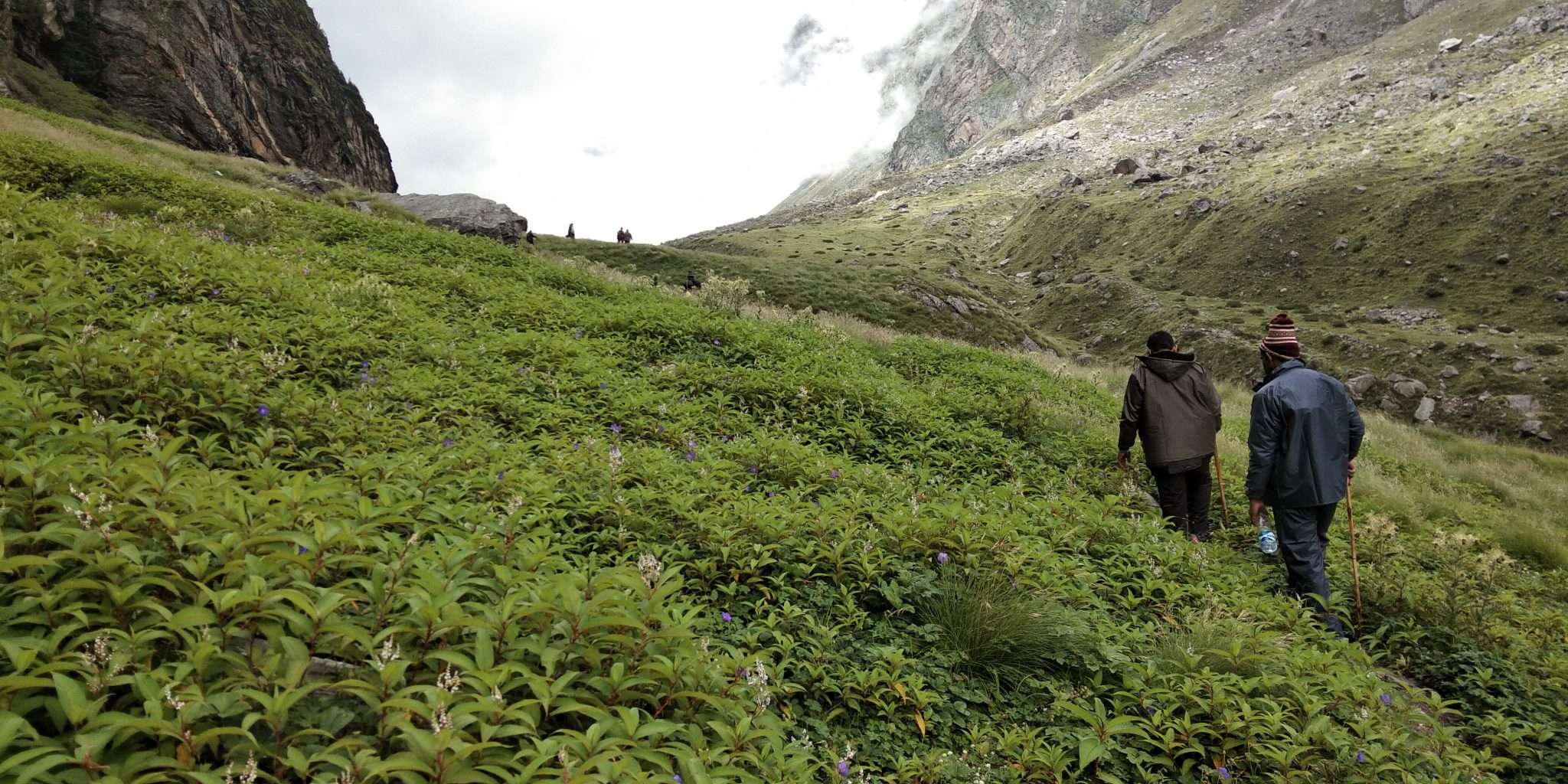 Satopanth Trek Image