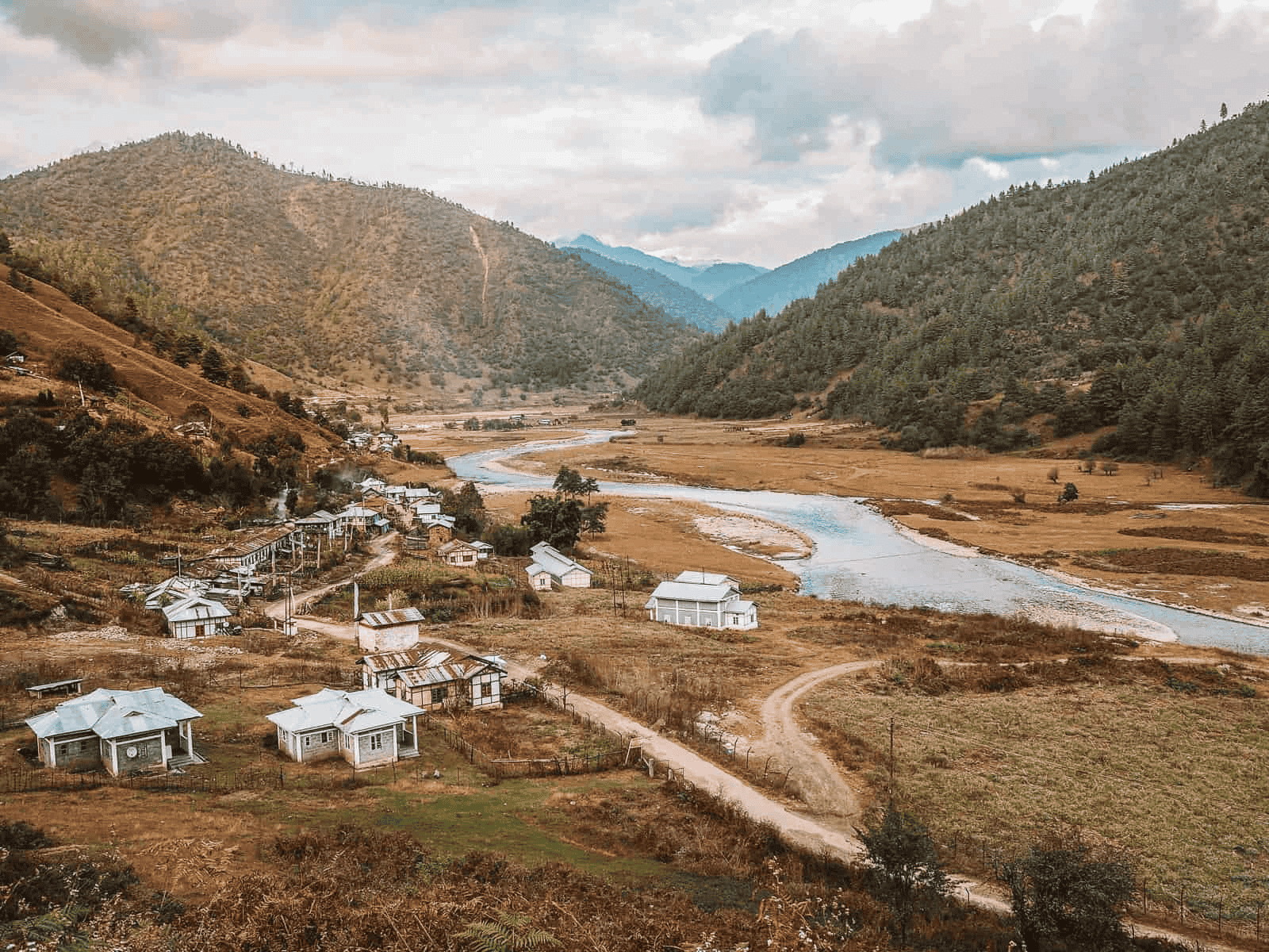 Experiential Ziro Valley Tour Package Image