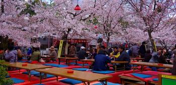 5ut5dfyzq7uy5xoaihp190ggohaa maru