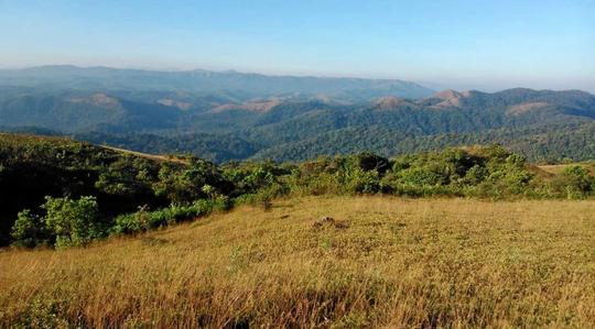 Pushpagiri Wildlife Sanctuary Safari Image