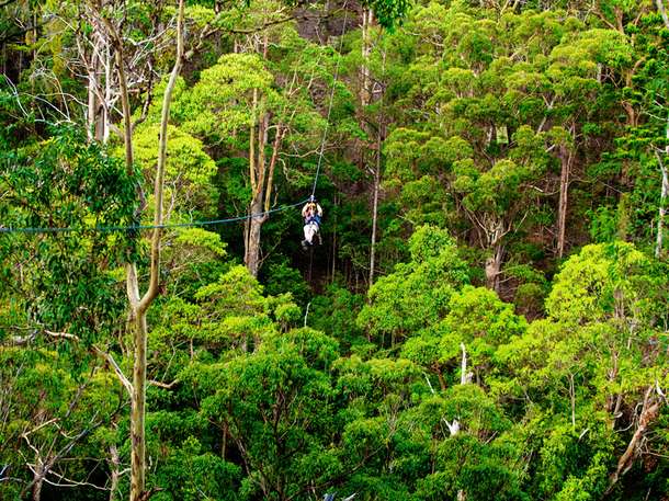 5vajamu774gdurklt1hvyu3ics9v 6 zipline 70km perhour