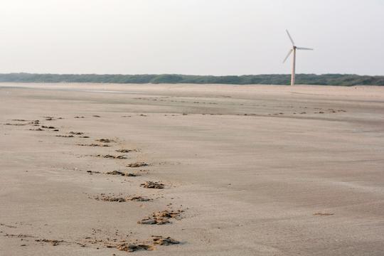 Rann Of Kutch Tour Package Image