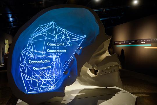 Valencia City of Arts And Sciences Tour with Rooftop Wine Tasting & Tapas Image