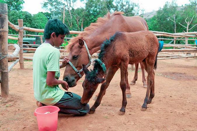Prani, The Pet Sanctuary