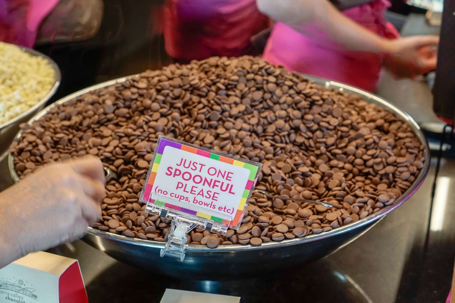 Puffing Billy & Healesville Sanctuary Tour Image