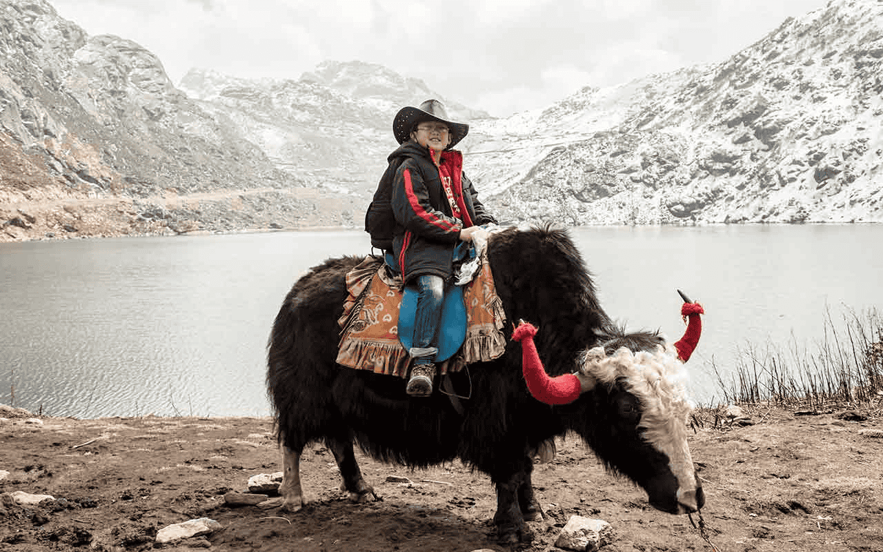 A joyful ride of colorful yaks at Tsomgo Lake