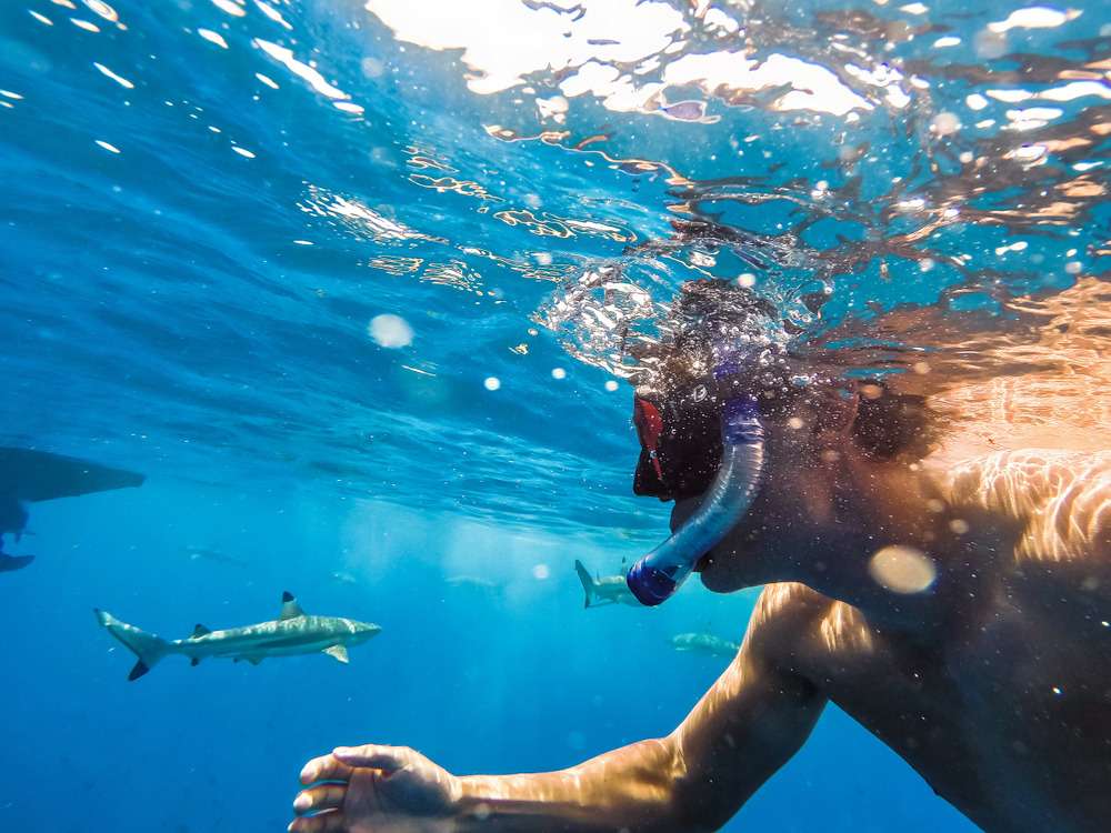 Bora Bora Tour Package From India Image