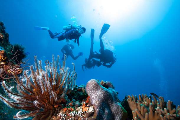 66d35advumgmp7ape0ek7kpjs0bz shutterstock 1941241873