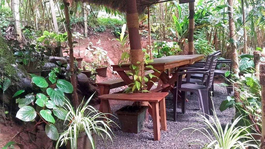 Tea Plantation Stay In Munnar Image