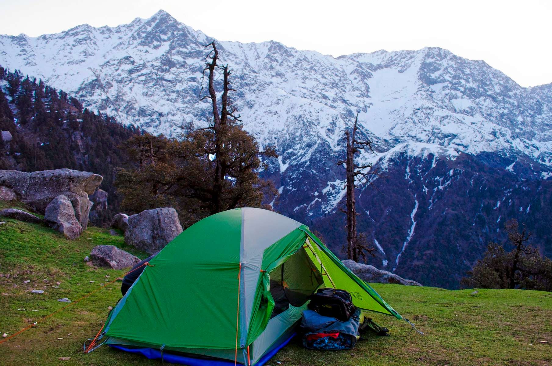 Trek to Mcleodganj and Triund from Delhi Image