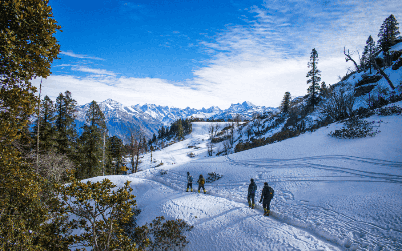 Shimla Manali From Chandigarh | FREE Snowboarding Adventure