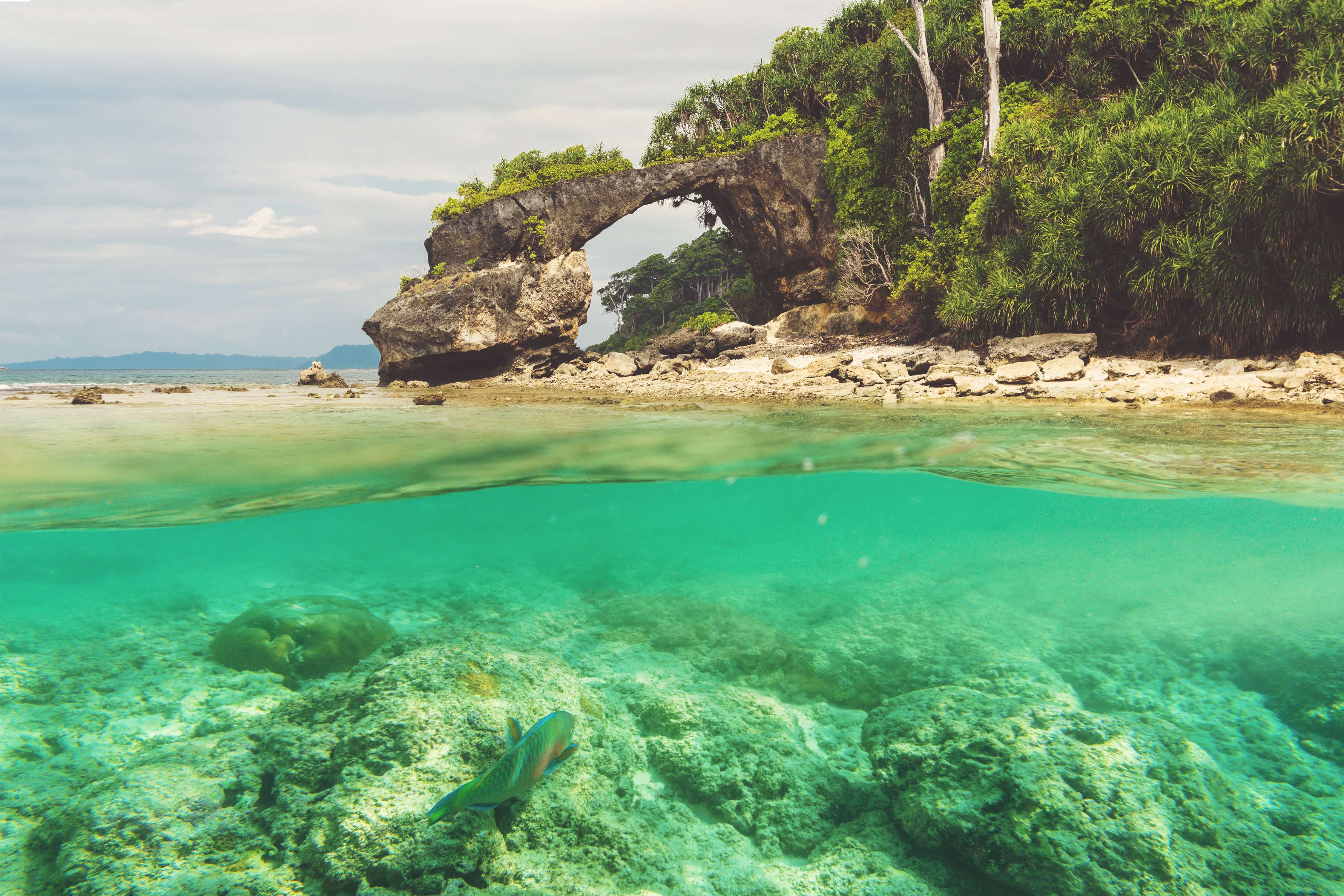 Treasures of Andaman | From Vibrant Coral Reefs to Spectacular Seascapes