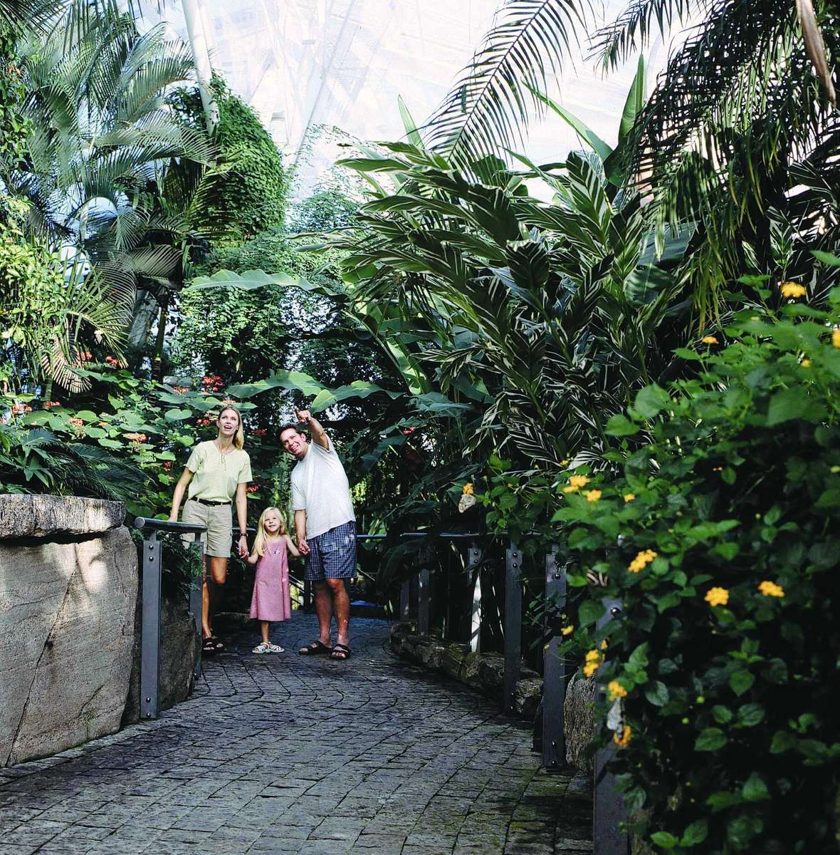 Niagara Falls Butterfly Conservatory Image